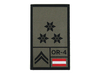 STEINADLER Zugsführer Rank gewebt